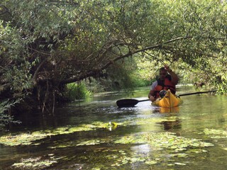 Appartamento per vacanze Valledoria Ambiente 13