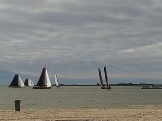 Classik Regatta direkt am Strand