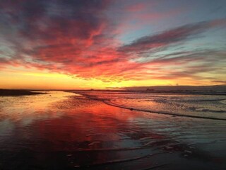 Vakantiepark Noordwijk Omgeving 16