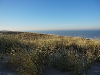 Ferienpark Noordwijk Umgebung 15