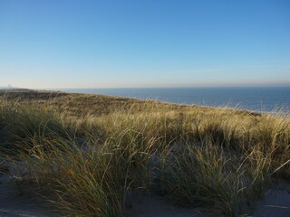 Parque de vacaciones Noordwijk Entorno 15