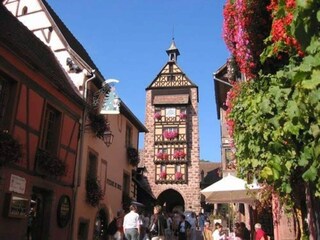 Ferienpark le thillot Umgebung 17