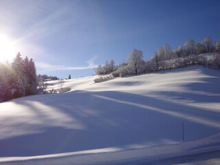 Winter bei uns vor der Haustüre