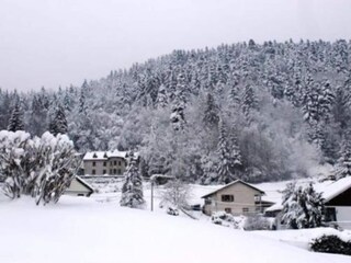 Parco vacanze le thillot Ambiente 9