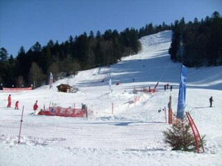 Ferienpark le thillot Umgebung 16