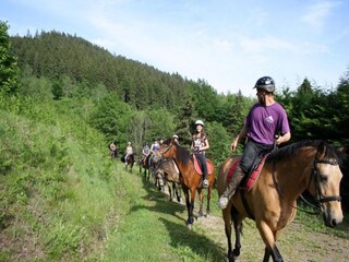 Parc de vacances le thillot Environnement 22