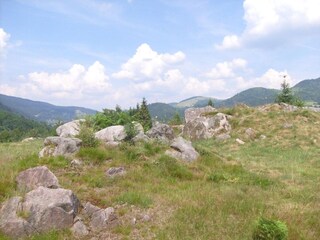 Parc de vacances le thillot Environnement 18