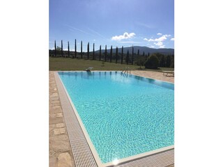 infinity edge swimming pool salt purification system