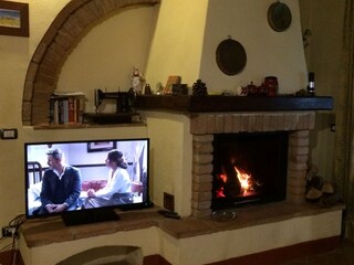 Living-room with fireplace and SatelliteTV