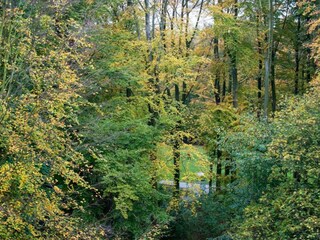 Appartement Den Haag Omgeving 24