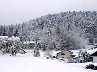 Parco vacanze le thillot Ambiente 19