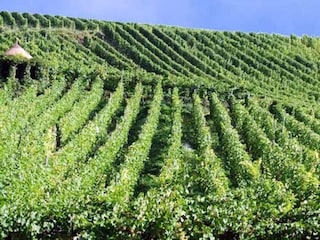 Vakantiepark le thillot Omgeving 24