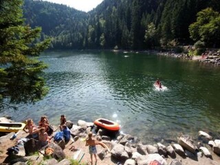 Vakantiepark le thillot Omgeving 13