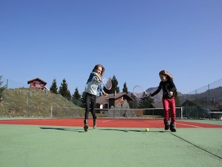 Ferienpark le thillot  38
