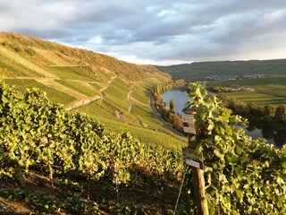 Apartment Köwerich Environment 30