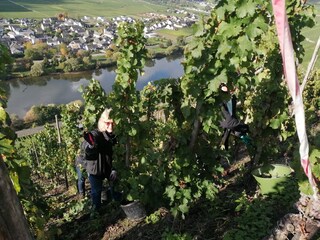 Holiday apartment Köwerich Environment 26