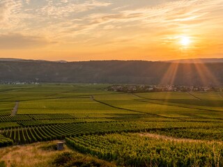 Holiday apartment Köwerich Environment 29