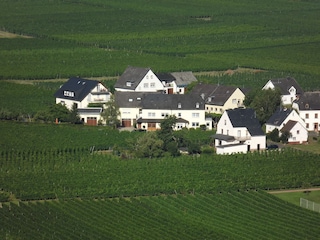 Winery and guesthouse Winnebeck