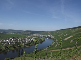 Köwerich among the vineyards