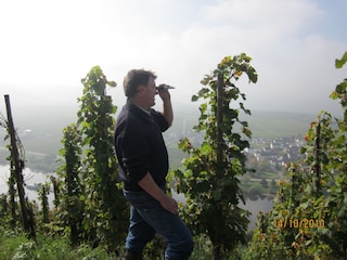 Wie hoch sind wohl die "Öchsle"?