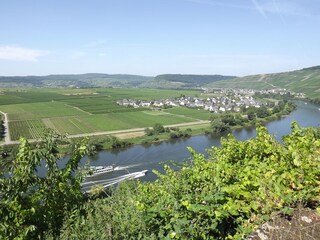 Blick auf Köwerich und die Mosel