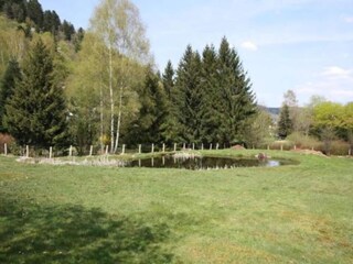 Vakantiepark le thillot Omgeving 17