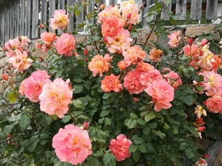 Fattoria Völs am Schlern Registrazione all'aperto 14