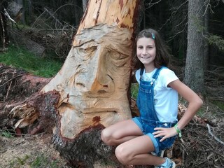 Wanderweg zum Tschafon mit tollen gschnitzten Figuren