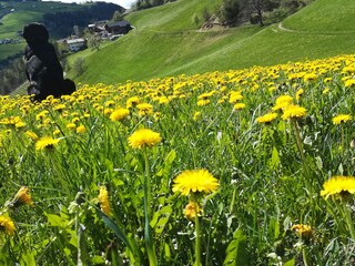 Boerderij Völs am Schlern Buitenaudio-opname 7