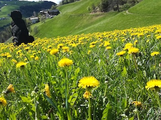 Farmhouse Völs am Schlern Outdoor Recording 7