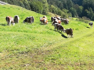 Fattoria Völs am Schlern Registrazione all'aperto 23