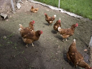 Boerderij Völs am Schlern Buitenaudio-opname 17