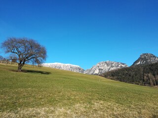 Fattoria Völs am Schlern Ambiente 31
