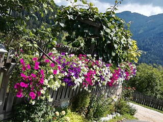 Farmhouse Völs am Schlern Outdoor Recording 12