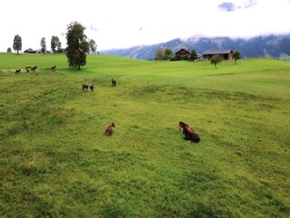 Appartamento Saalfelden Ambiente 21