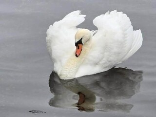 Apartamento Delft Entorno 33