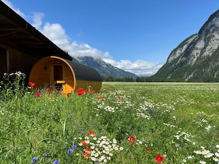 Maison de vacances Leutasch  8