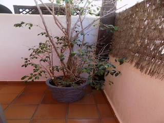 Appartement Granada  36