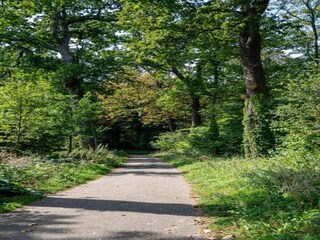 Appartamento Delft Ambiente 32