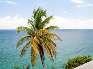 Apartment Le Gousier  45