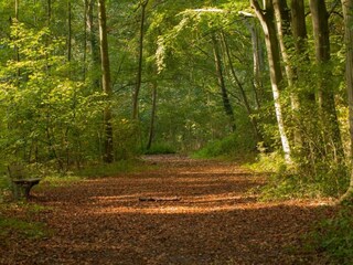 Appartamento Delft Ambiente 45