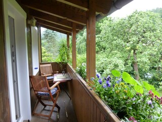 Blick vom Balkon in den Garten