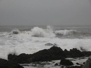 Apartamento Feltham Entorno 35