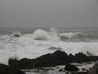 Apartamento Feltham Entorno 38