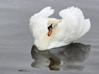 Appartamento Delft Ambiente 35