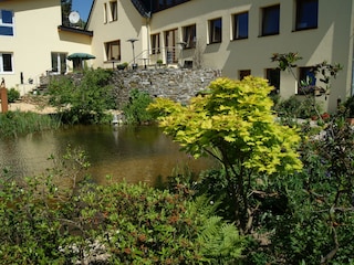 Blick über den Gartenteich