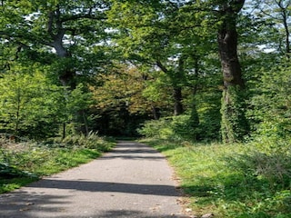 Vakantiehuis Delft Omgeving 33