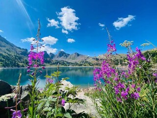 Apartment Uvernet-Fours Environment 20