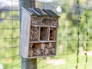 Casa per le vacanze Großsteinbach  27