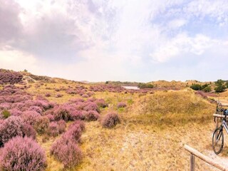 Vakantiehuis Julianadorp Omgeving 23